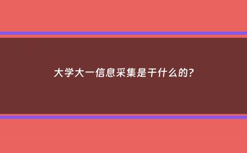 大学大一信息采集是干什么的？