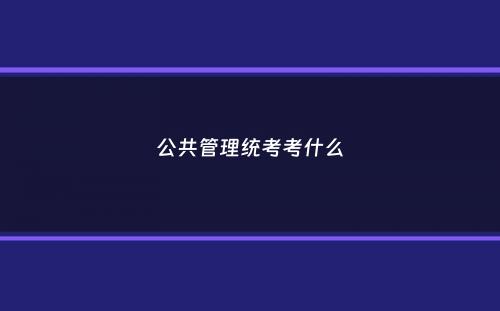 公共管理统考考什么