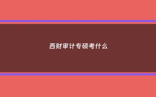 西财审计专硕考什么