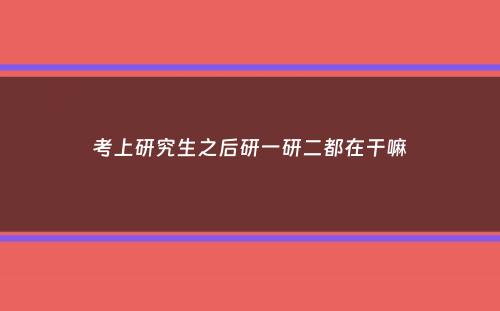 考上研究生之后研一研二都在干嘛
