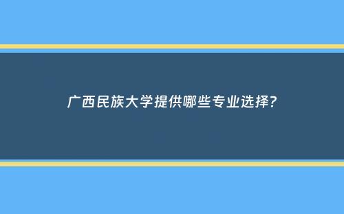 广西民族大学提供哪些专业选择？