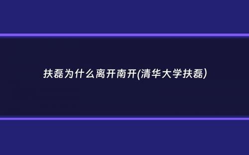 扶磊为什么离开南开(清华大学扶磊）